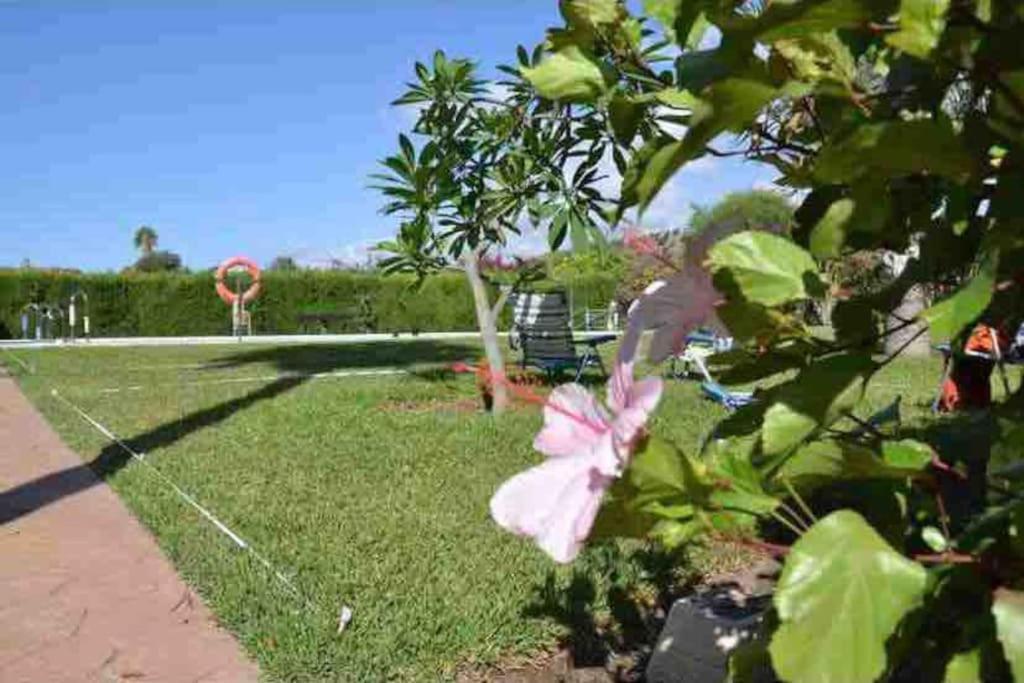 Apartamento Sol, Benajarafe Luaran gambar